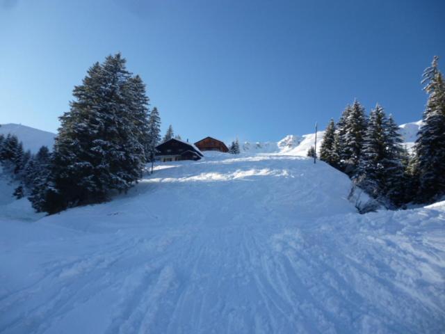 B&B Chalet Rey-Bellet Les Crosets Eksteriør bilde